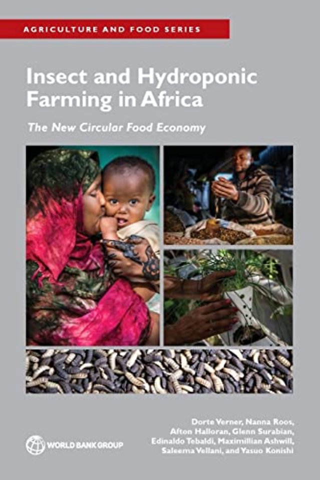 Insect and Hydroponic Farming in Africa – The New Circular Food Economy