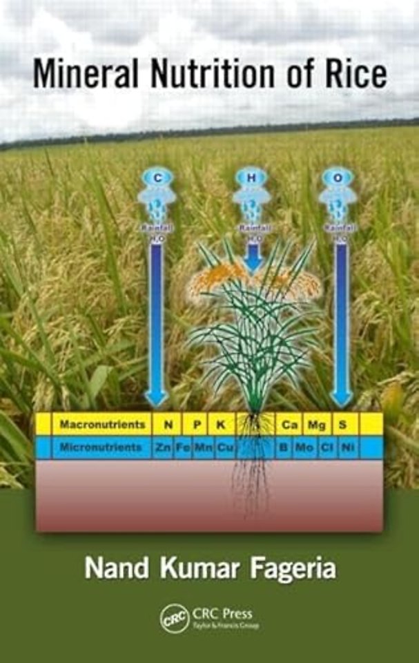 Mineral Nutrition of Rice