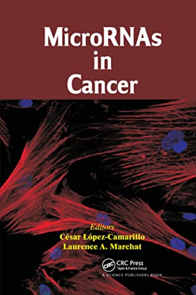 MicroRNAs in Cancer