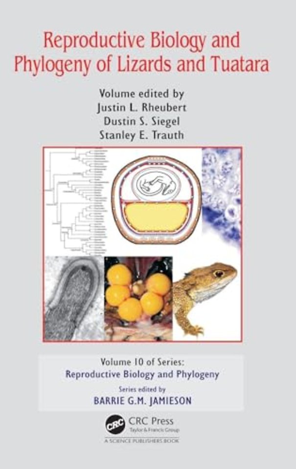 Reproductive Biology and Phylogeny of Lizards and Tuatara