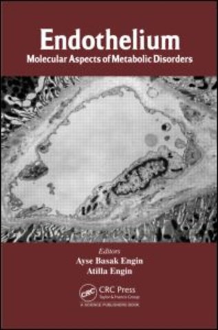 Endothelium