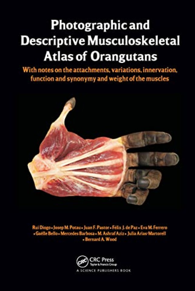 Photographic and Descriptive Musculoskeletal Atlas of Orangutans