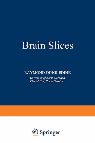Brain Slices