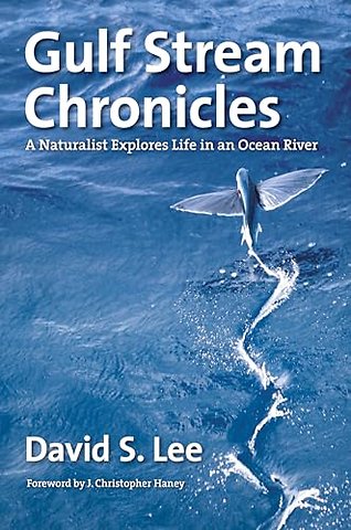 Gulf Stream Chronicles – A Naturalist Explores Life in an Ocean River