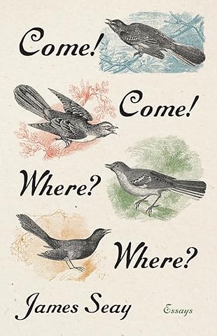 Come! Come! Where? Where? – Essays