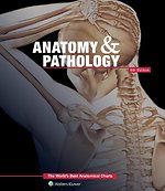 Anatomy & Pathology