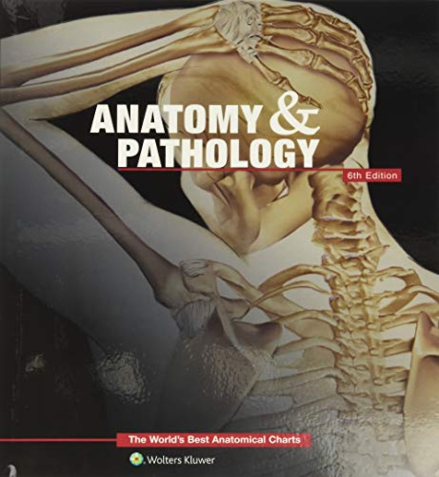 Anatomy & Pathology