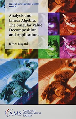 Analysis and Linear Algebra – The Singular Value Decomposition and Applications