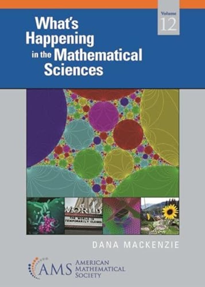 What`s Happening in the Mathematical Sciences, Volume 12