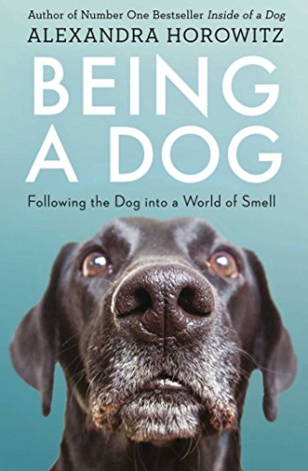 Being a Dog
