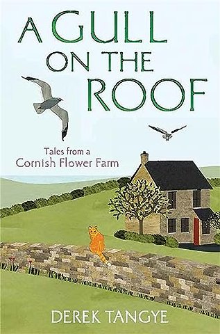 A Gull on the Roof
