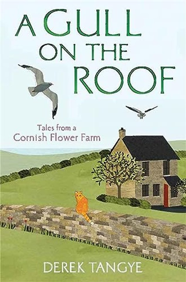 A Gull on the Roof