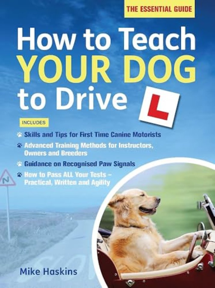 How to Teach your Dog to Drive