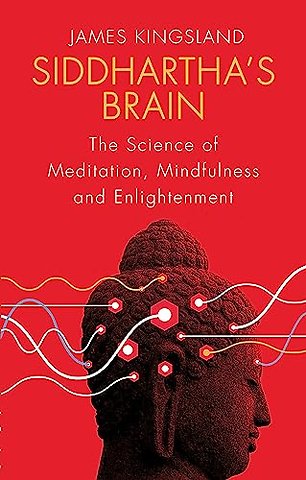 Siddhartha's Brain