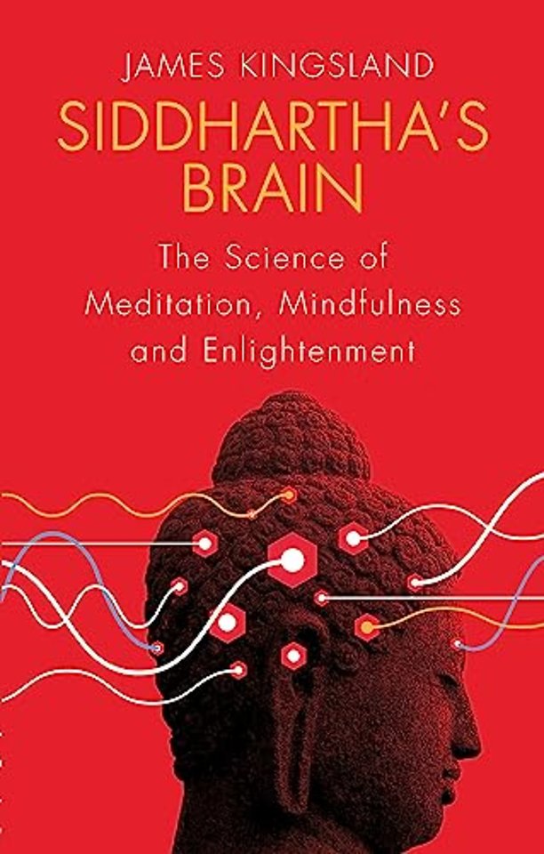 Siddhartha's Brain