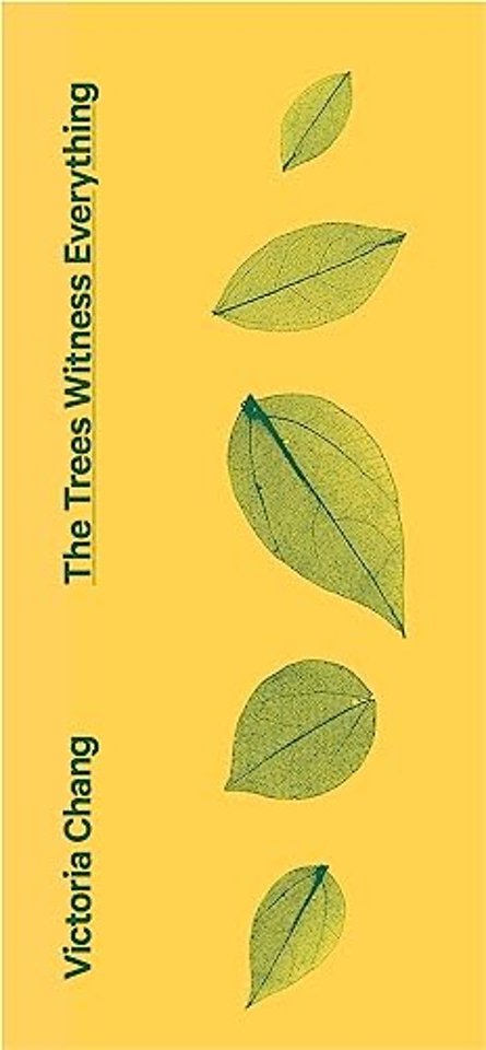 The Trees Witness Everything