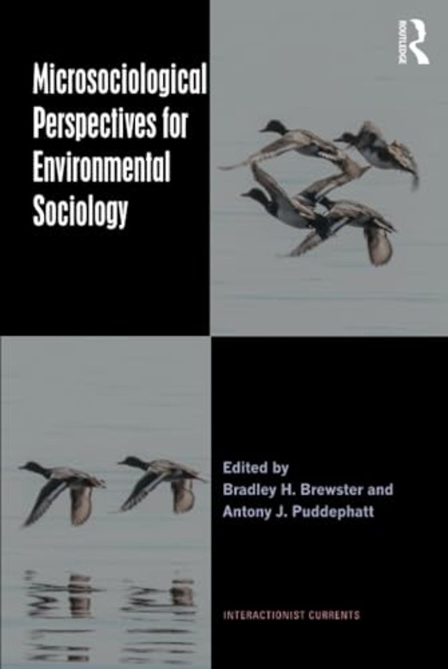 Microsociological Perspectives for Environmental Sociology