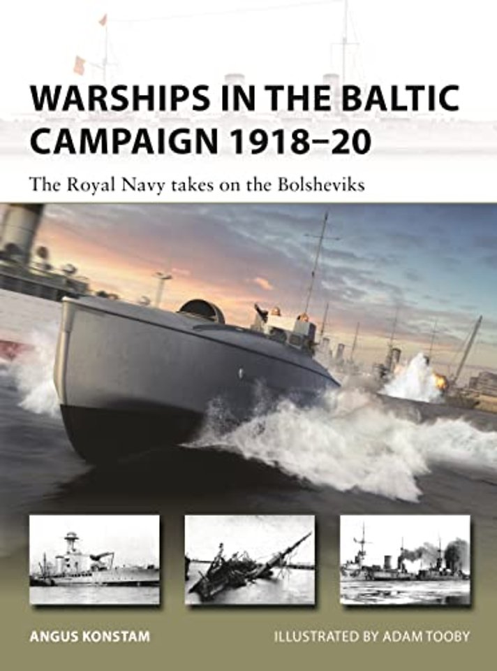 Warships in the Baltic Campaign 1918–20