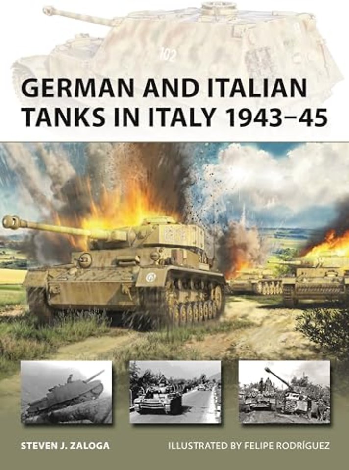 German and Italian Tanks in Italy 1943–45