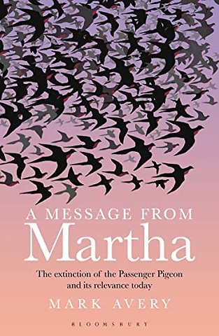 A Message from Martha