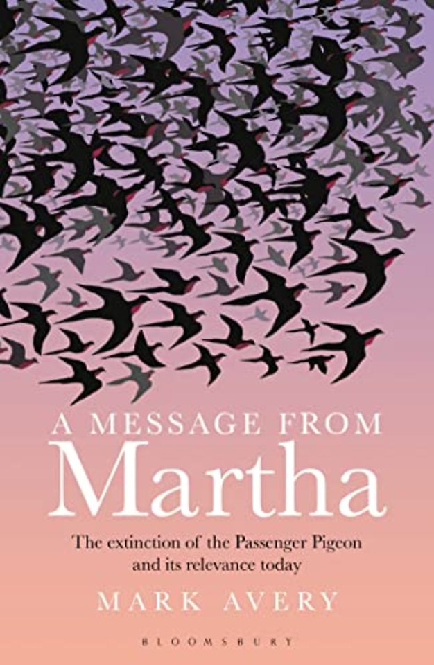 A Message from Martha