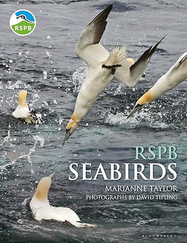 RSPB Seabirds