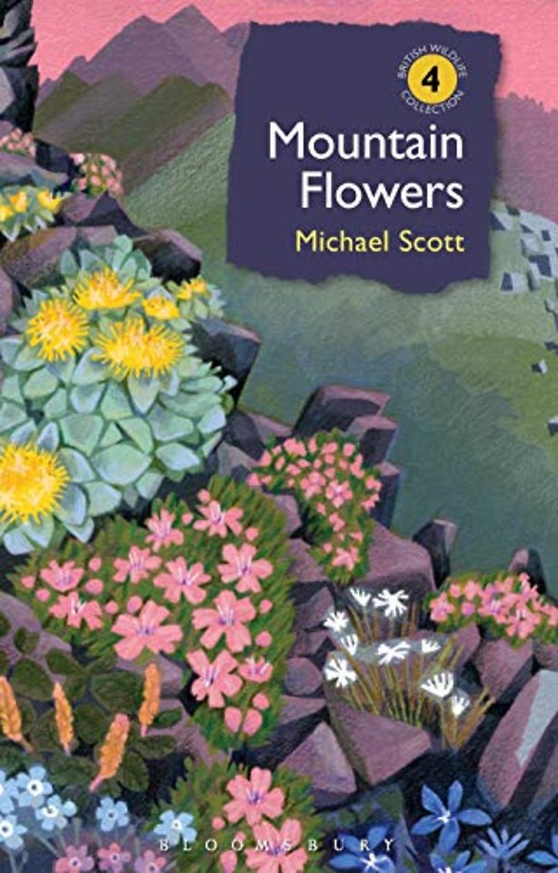 Mountain Flowers