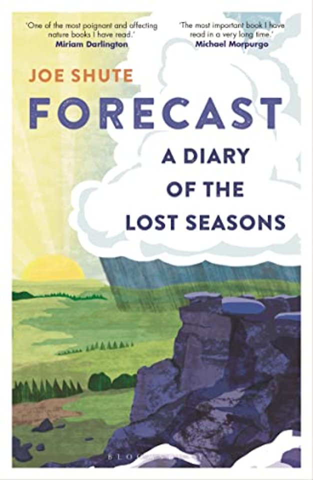 Forecast