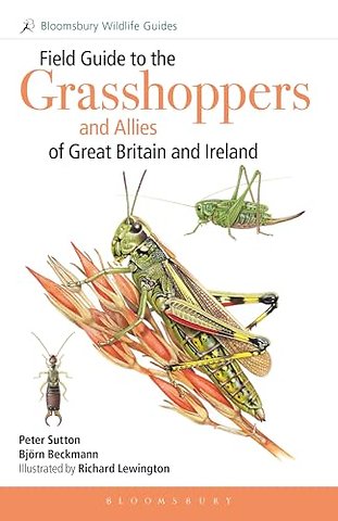 Field Guide to the Grasshoppers and Allies of Great Britain and Ireland