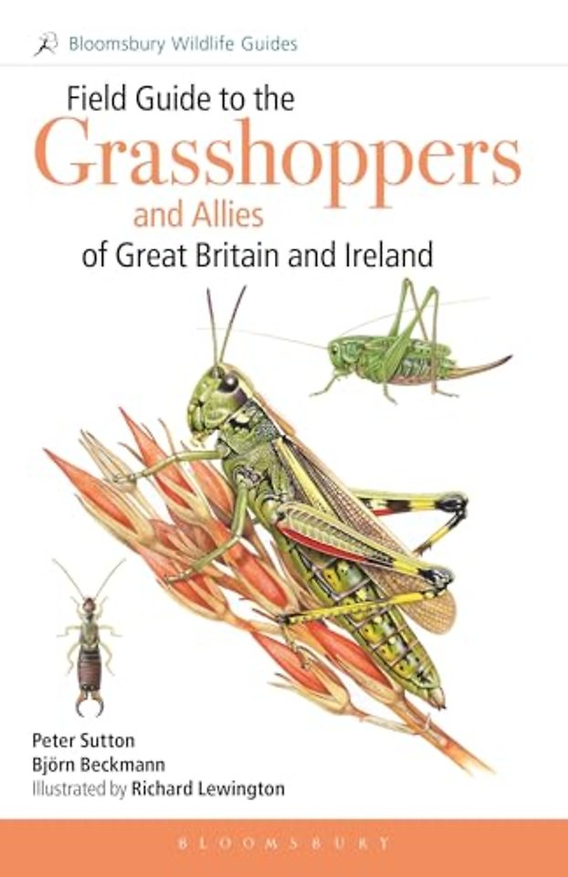 Field Guide to the Grasshoppers and Allies of Great Britain and Ireland