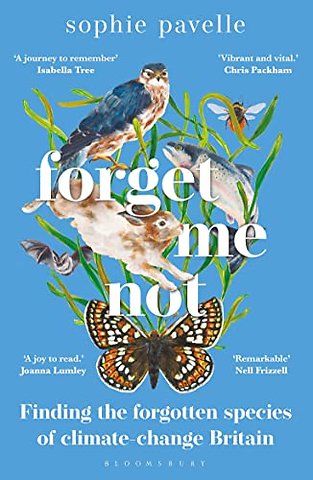 Forget Me Not