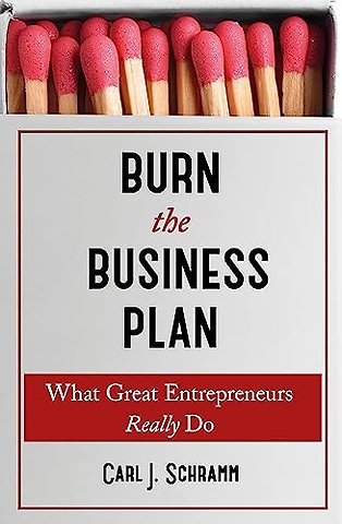 Burn The Business Plan