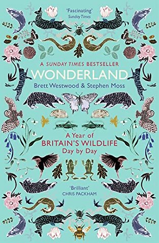 Wonderland