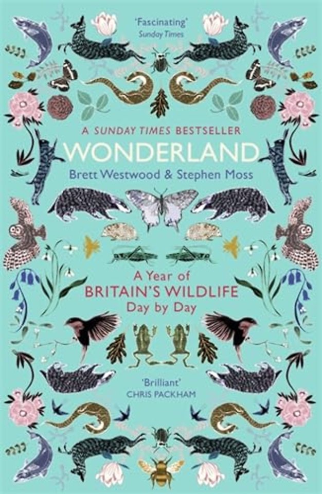 Wonderland