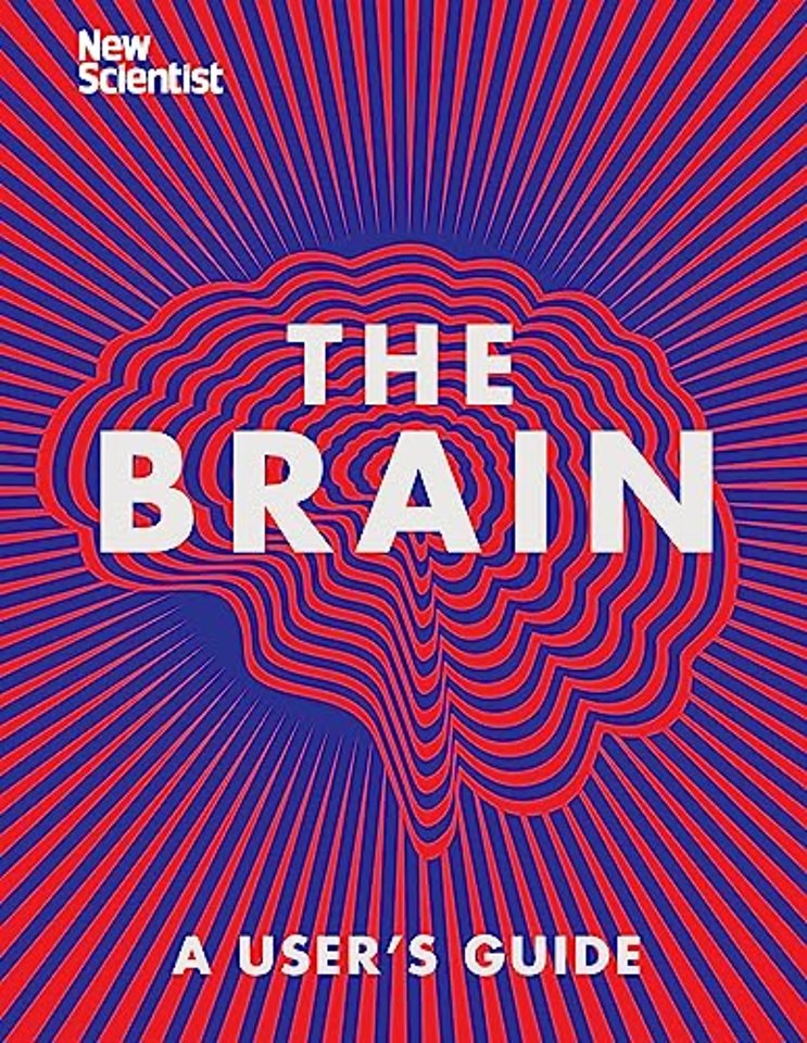 The Brain