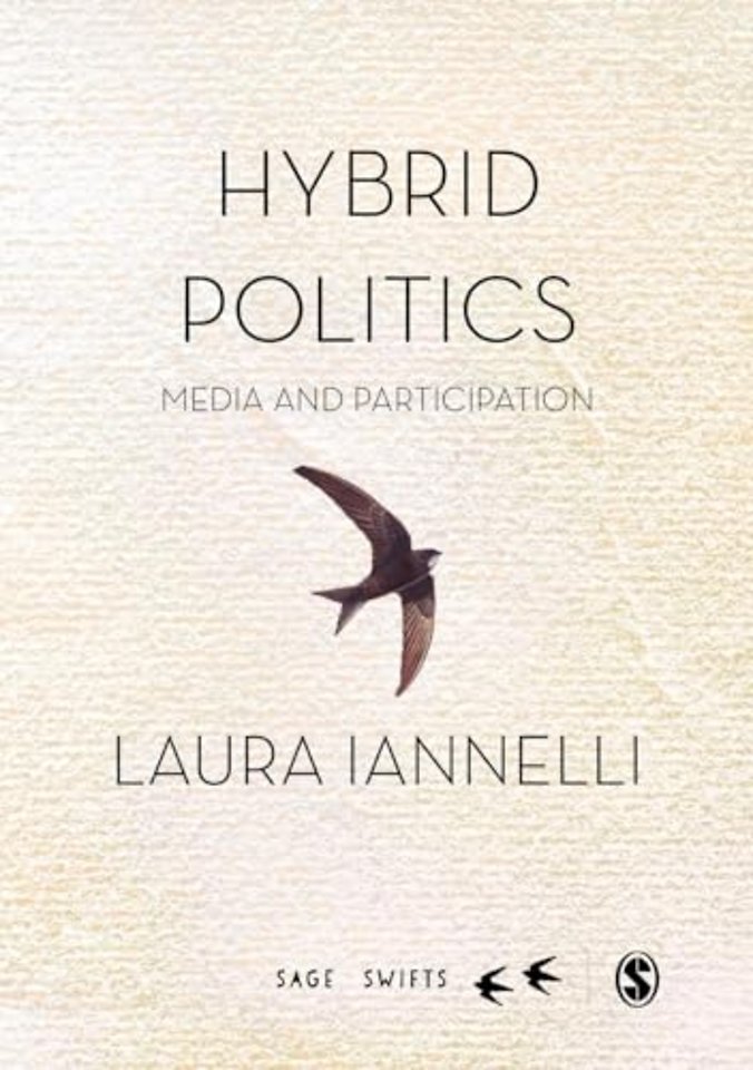 Hybrid Politics