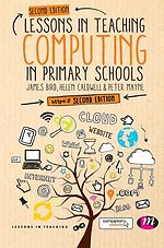 Lessons in Teaching Computing in Primary Schools