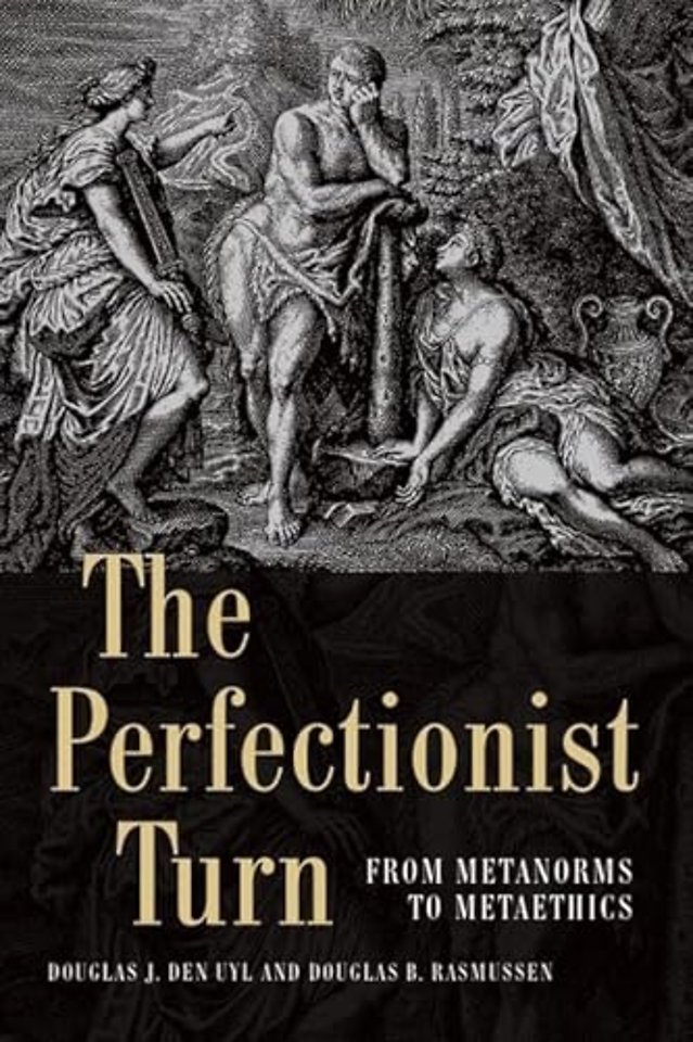 The Perfectionist Turn