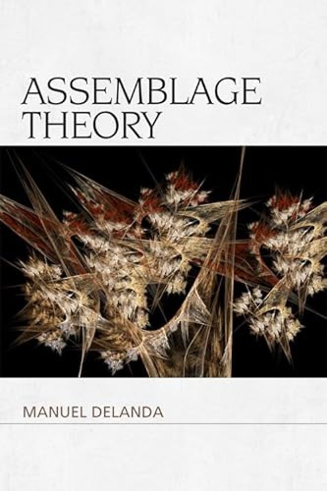 Assemblage Theory