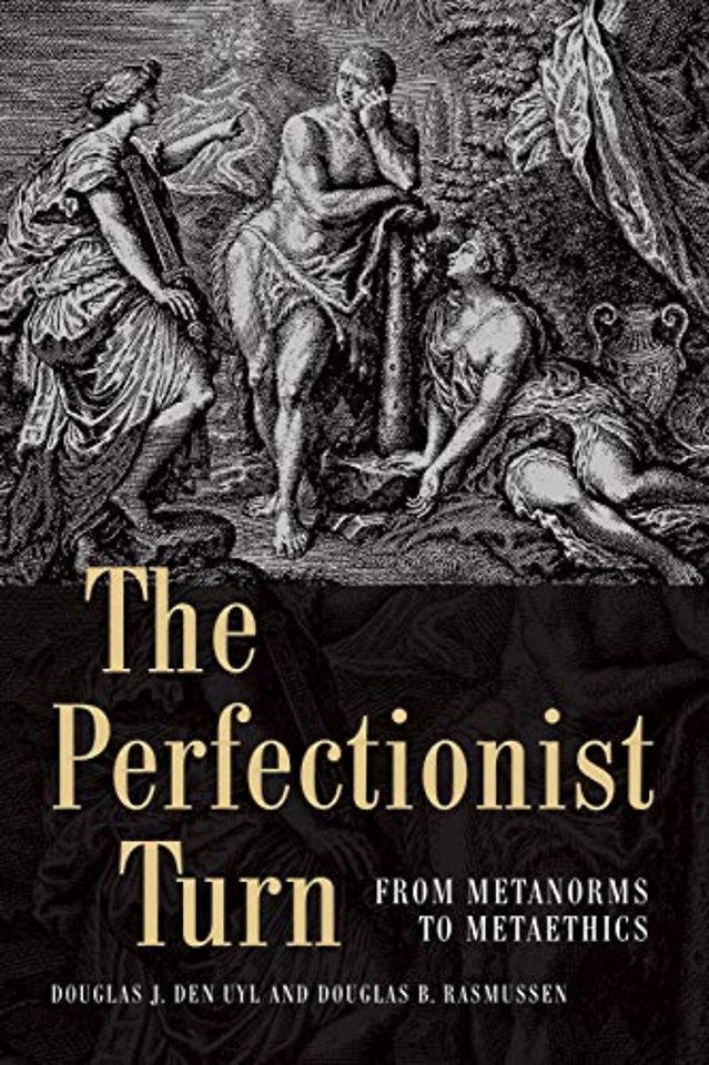 The Perfectionist Turn