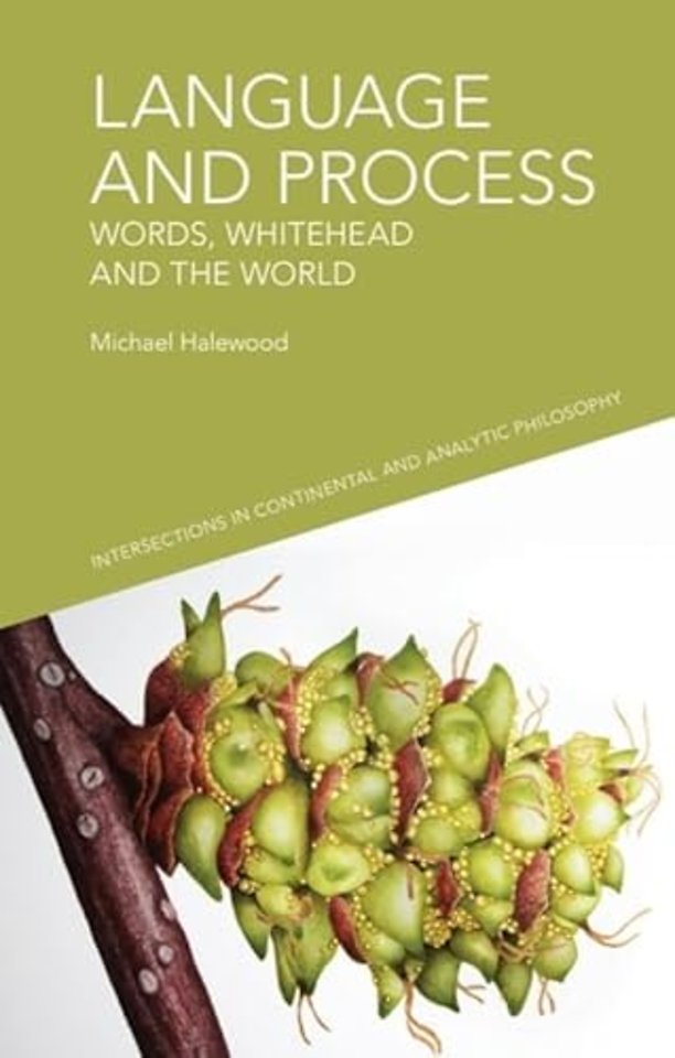 Language and Process