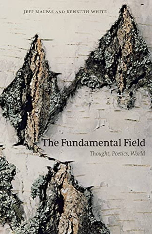 The Fundamental Field