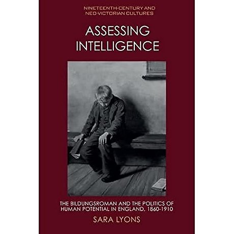 Assessing Intelligence