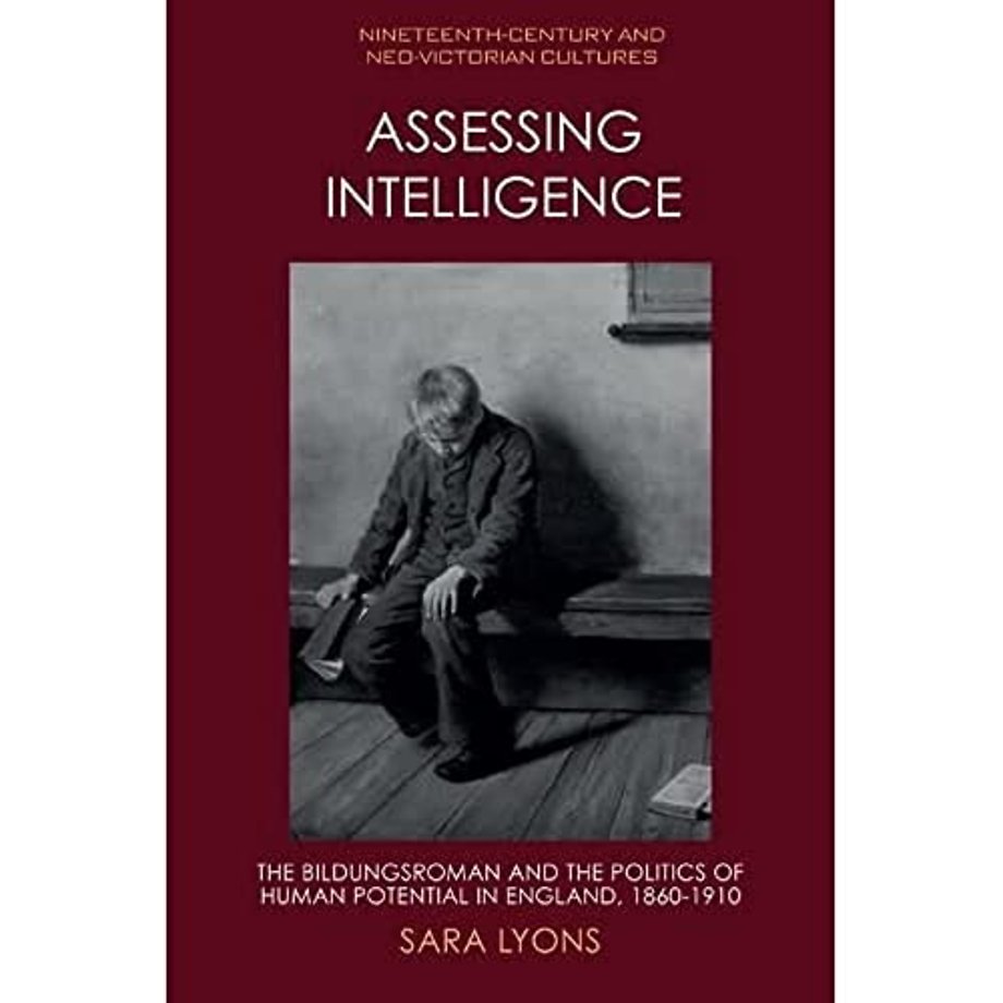Assessing Intelligence
