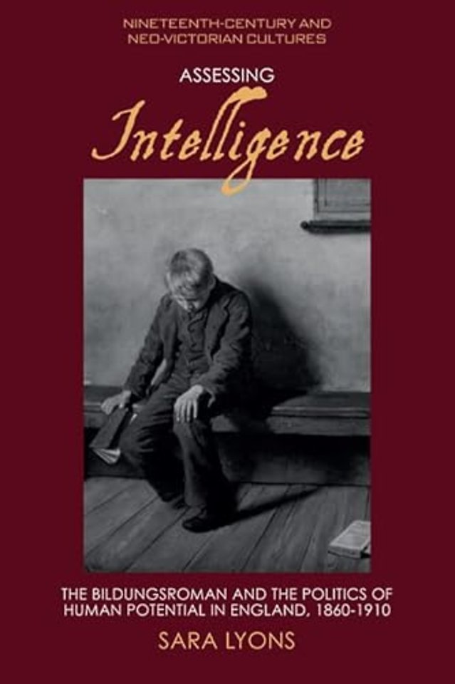 Assessing Intelligence