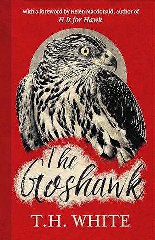 The Goshawk
