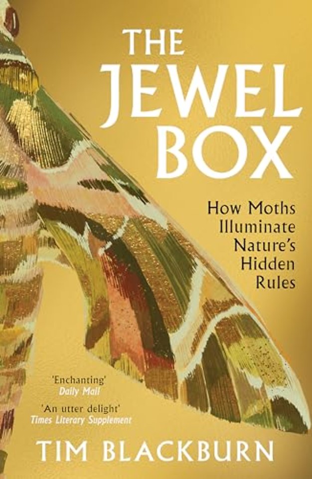 The Jewel Box
