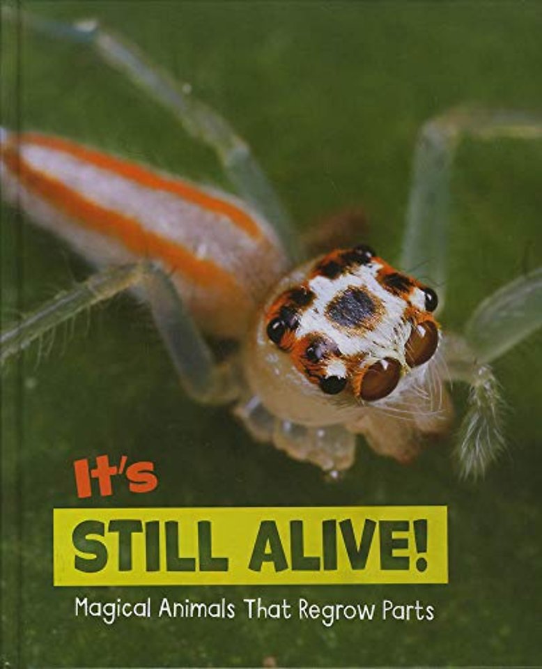 It's Still Alive!