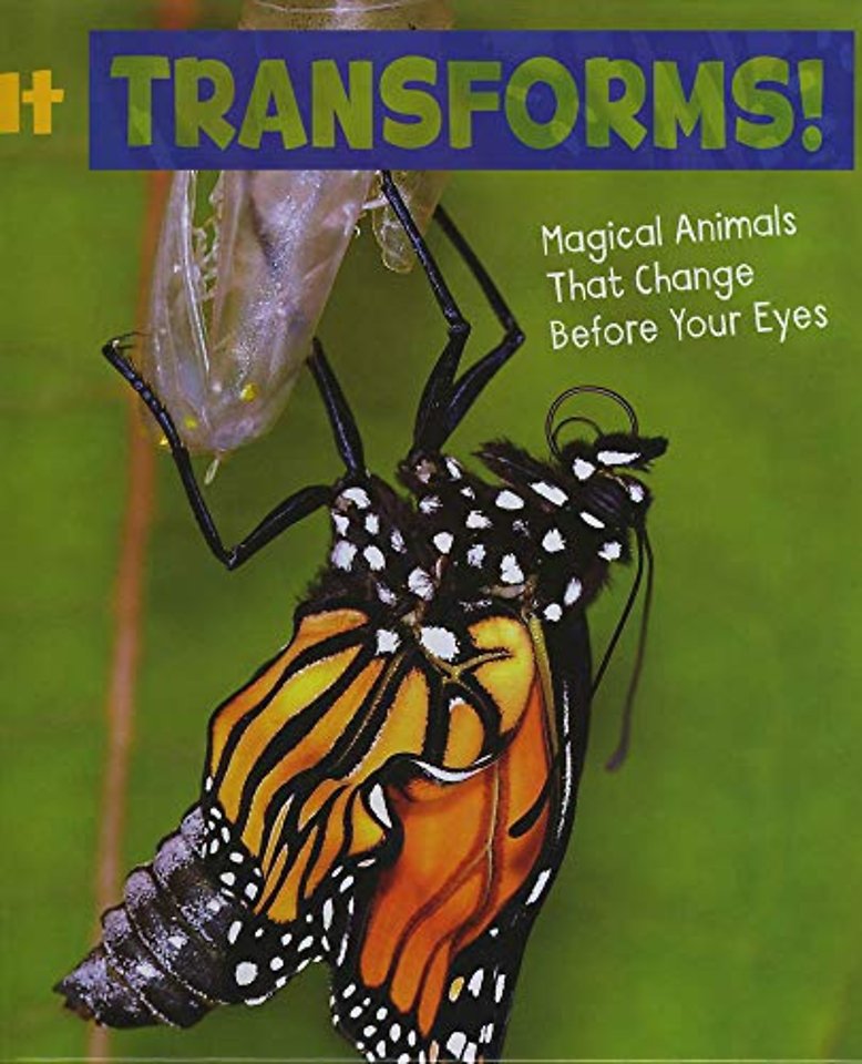 It Transforms!