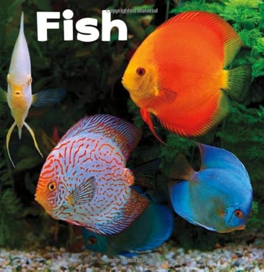 Fish